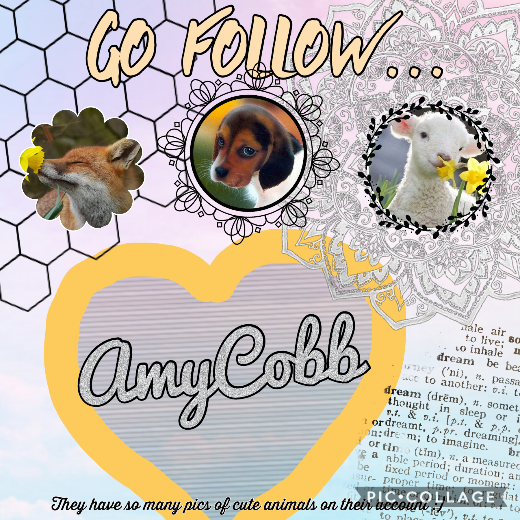 🌮tap🌮
Shoutout to AmyCobb! Follow them! 