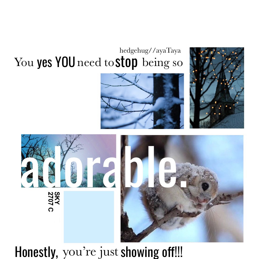 🐿tapp dat flying squirrel 🐿
Whoop 🐿🐿🐿
Collab with the wonderful, the talented, the amazing.... hedgehug!!!!!(go follow her!!)
She did photos and quote and I put it together and look^^ it’s only a freaking flying squirrel 😍😍
Comment favourite animal??...