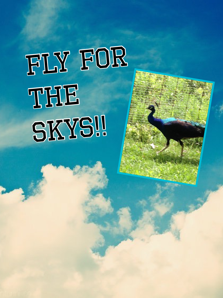 Fly for the skys!!
