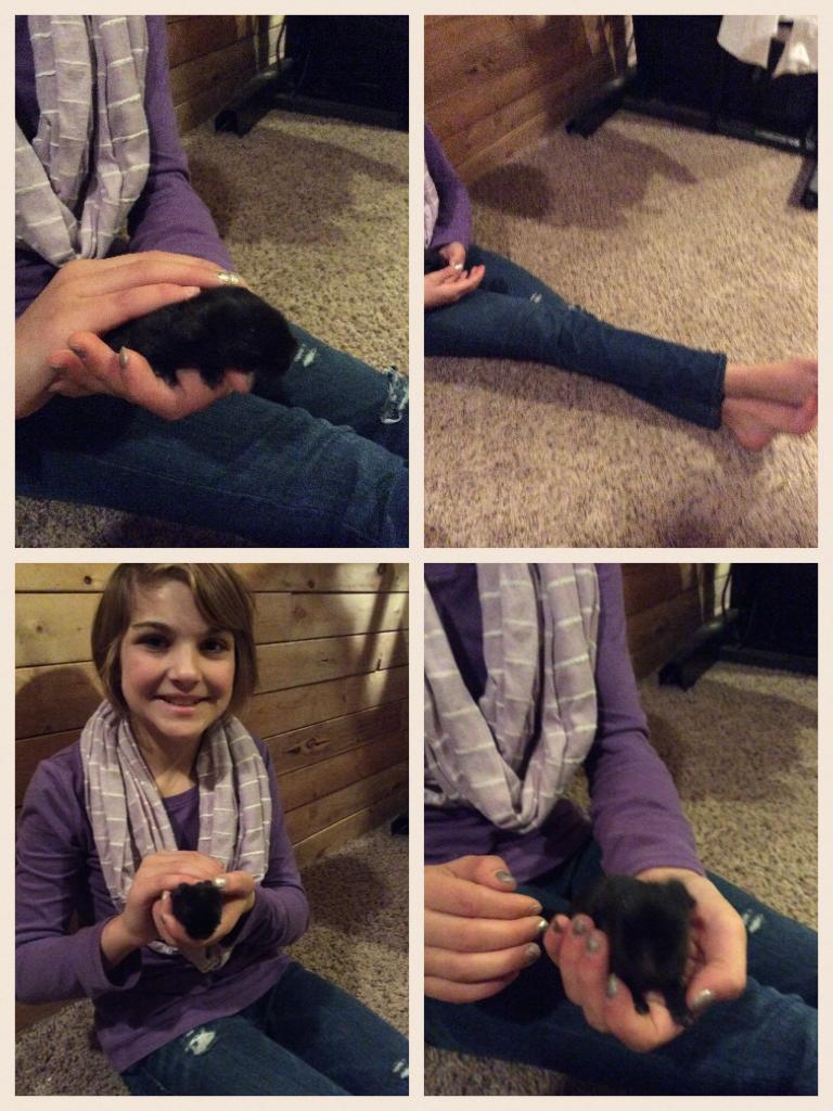 Me held a baby bunny and it peed on me but I still love them no matter what