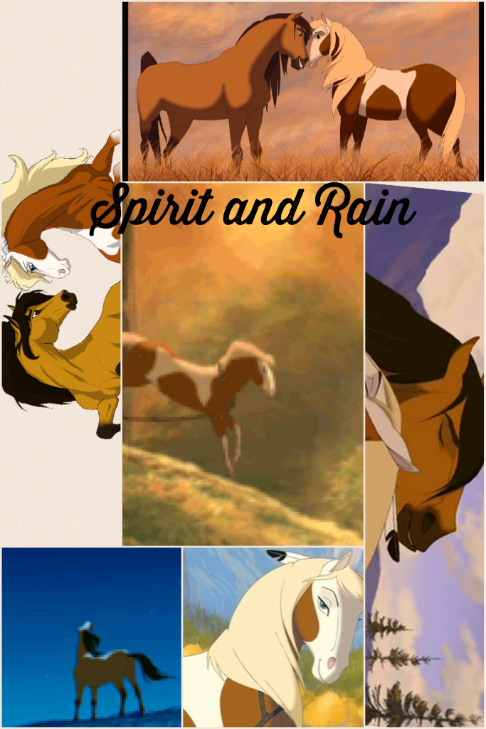 Spirit and Rain