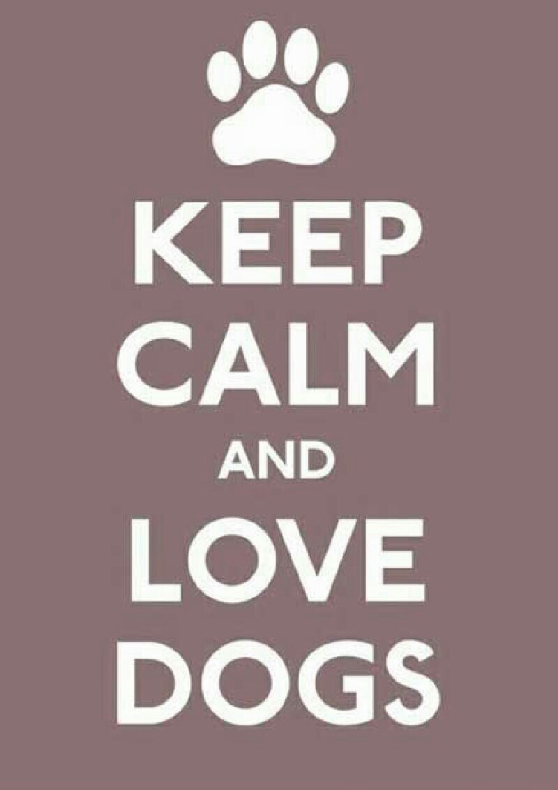 keep calm and love DOGS🐕