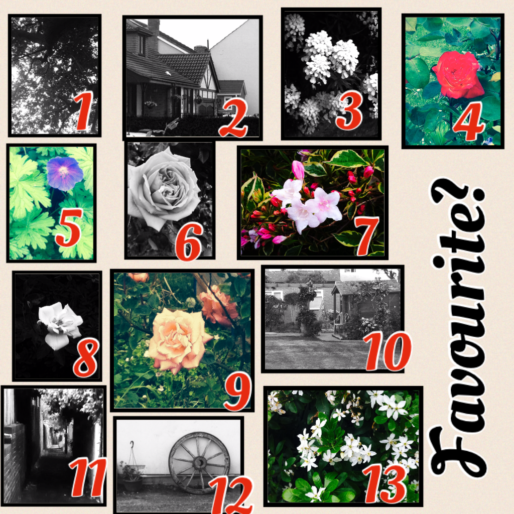 Favourite? Post ur favourite number and I will frame that one