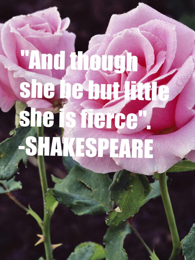 "And though she be but little she is fierce".            
-SHAKESPEARE 
