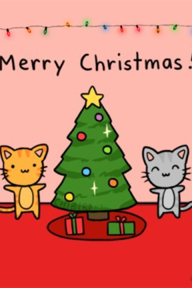 Merry Christmas🎅🏻🎁