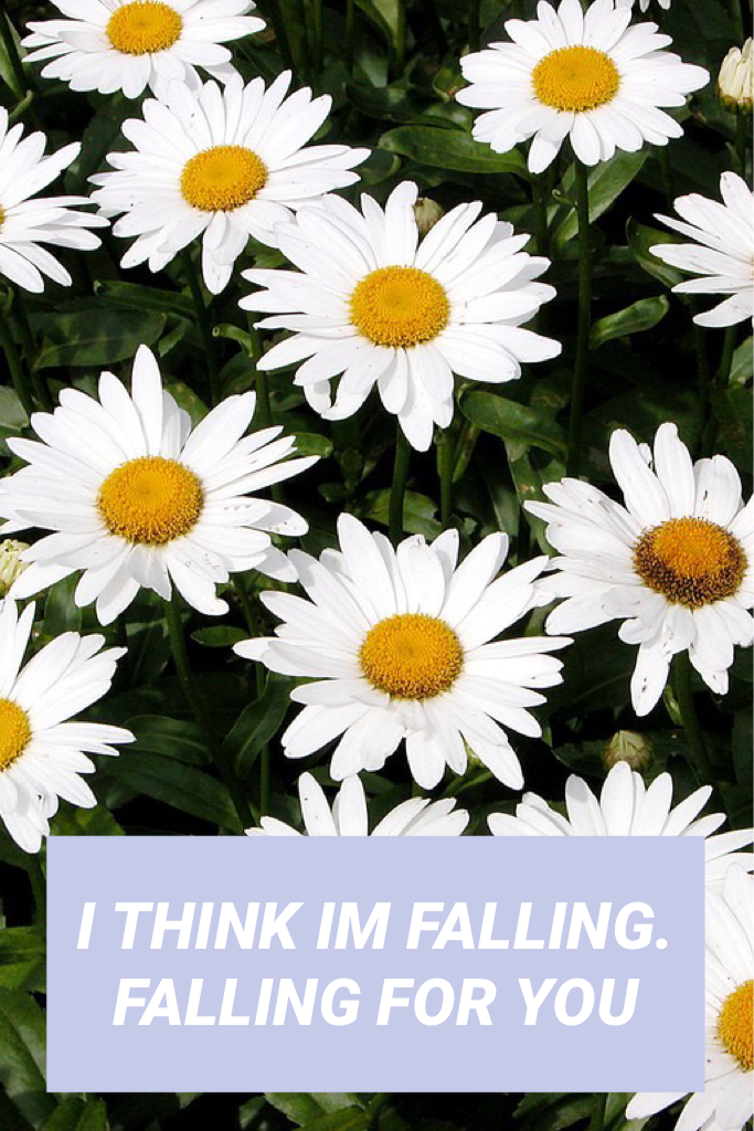 I THINK IM FALLING. FALLING FOR YOU - // THE 1975 //