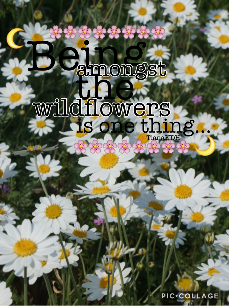 Being amongst the wildflowers is one thing ... 🌙🌸😆