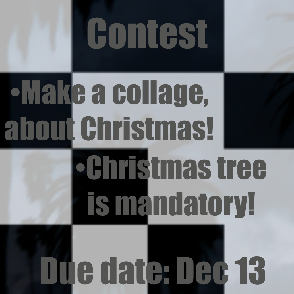 Christmas Contest!