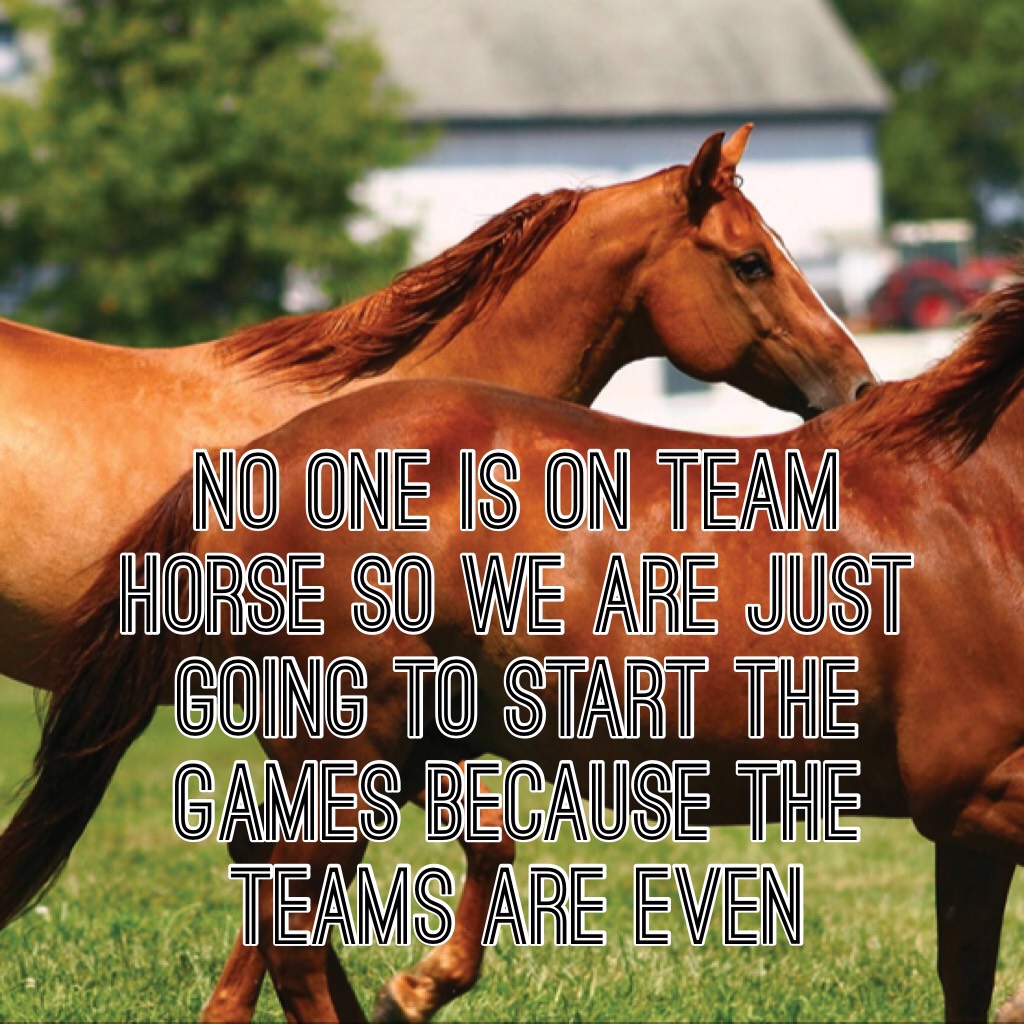 No one is on team horse so we are just going to start the games because the teams are even 