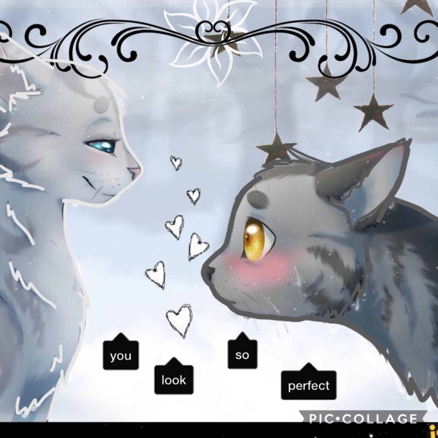 ❤️ Graystripe x Silverstream ❤️ Yes.. I am not a Millie x Graystripe shipper.. and I’m sorry XD