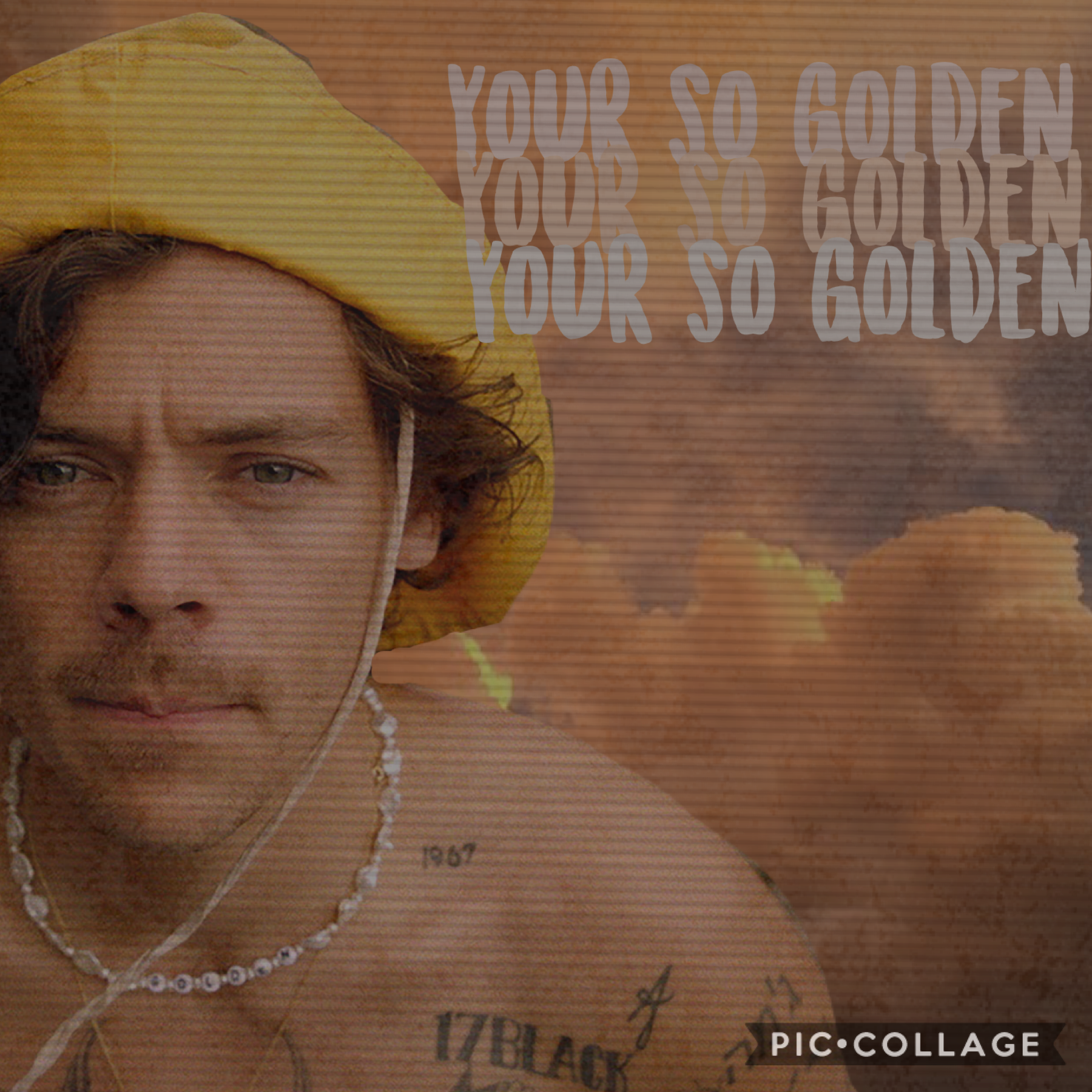 ✨tap✨
Harry Styles golden!