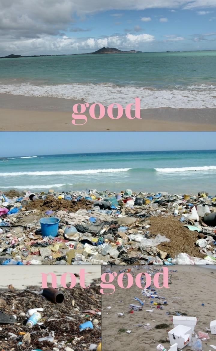 help this earth help the ocean when you go to the beach pick up TRASH the fish and ocean animals eat the trash HELP THE OCEAN PLEASE 