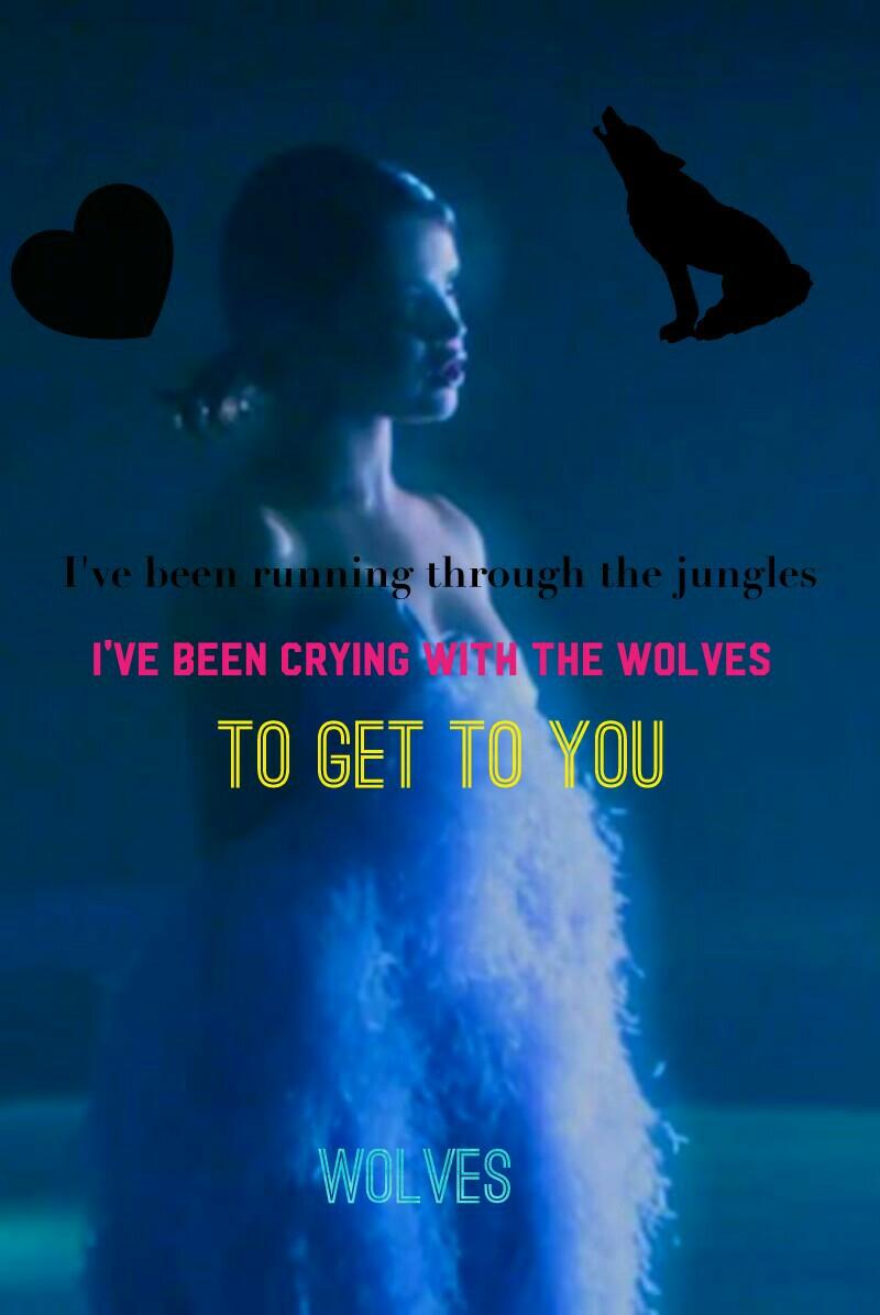 (TAP)
"Wolves" Like If You Like This Song💜 Ft Selena Gomez💖👑🌼