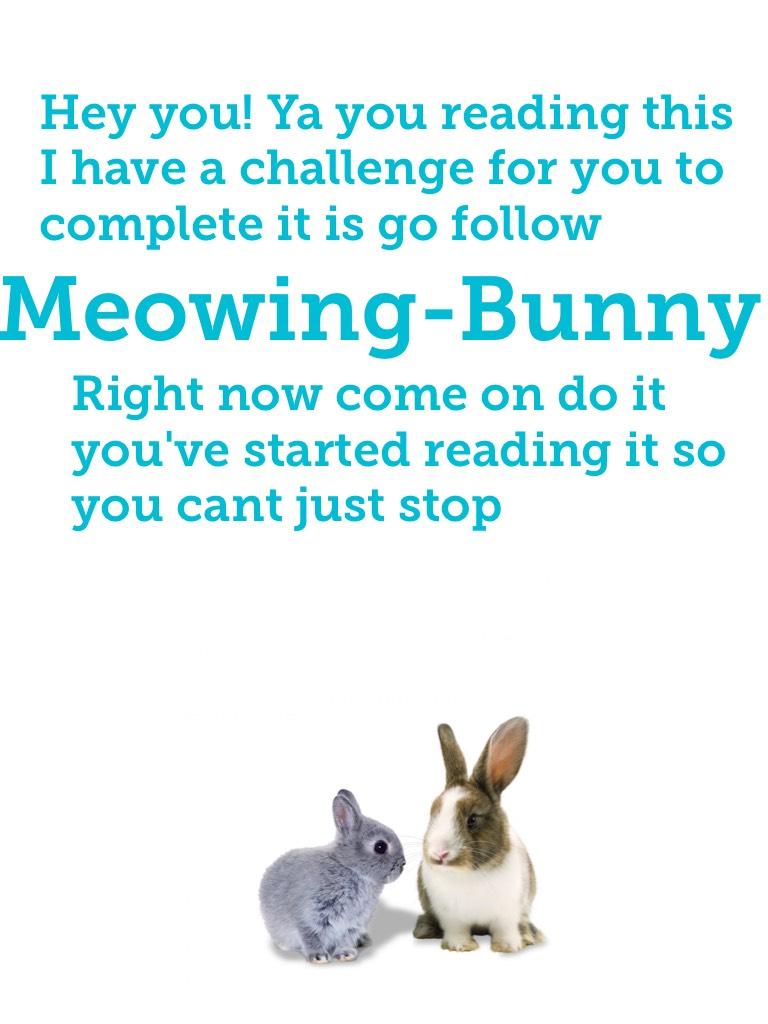 Go follow meowing bunny now!