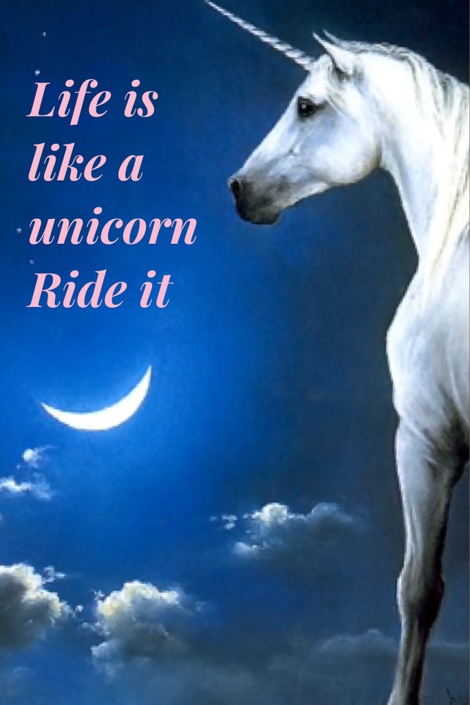 Life is like a unicorn
Ride it