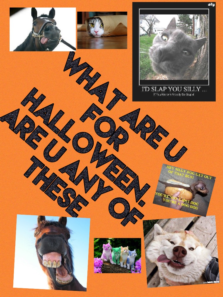What are u for halloween.Are u any of these
