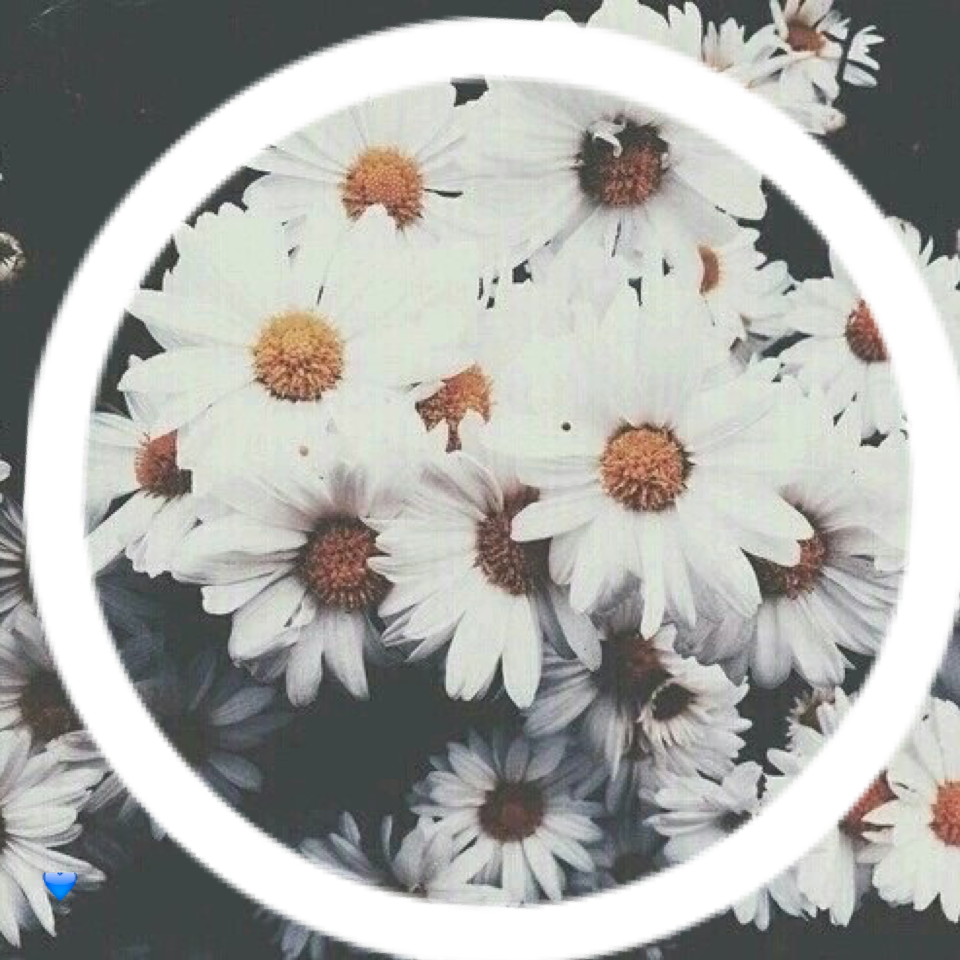 Flower icon!🌸 Give credit!💙