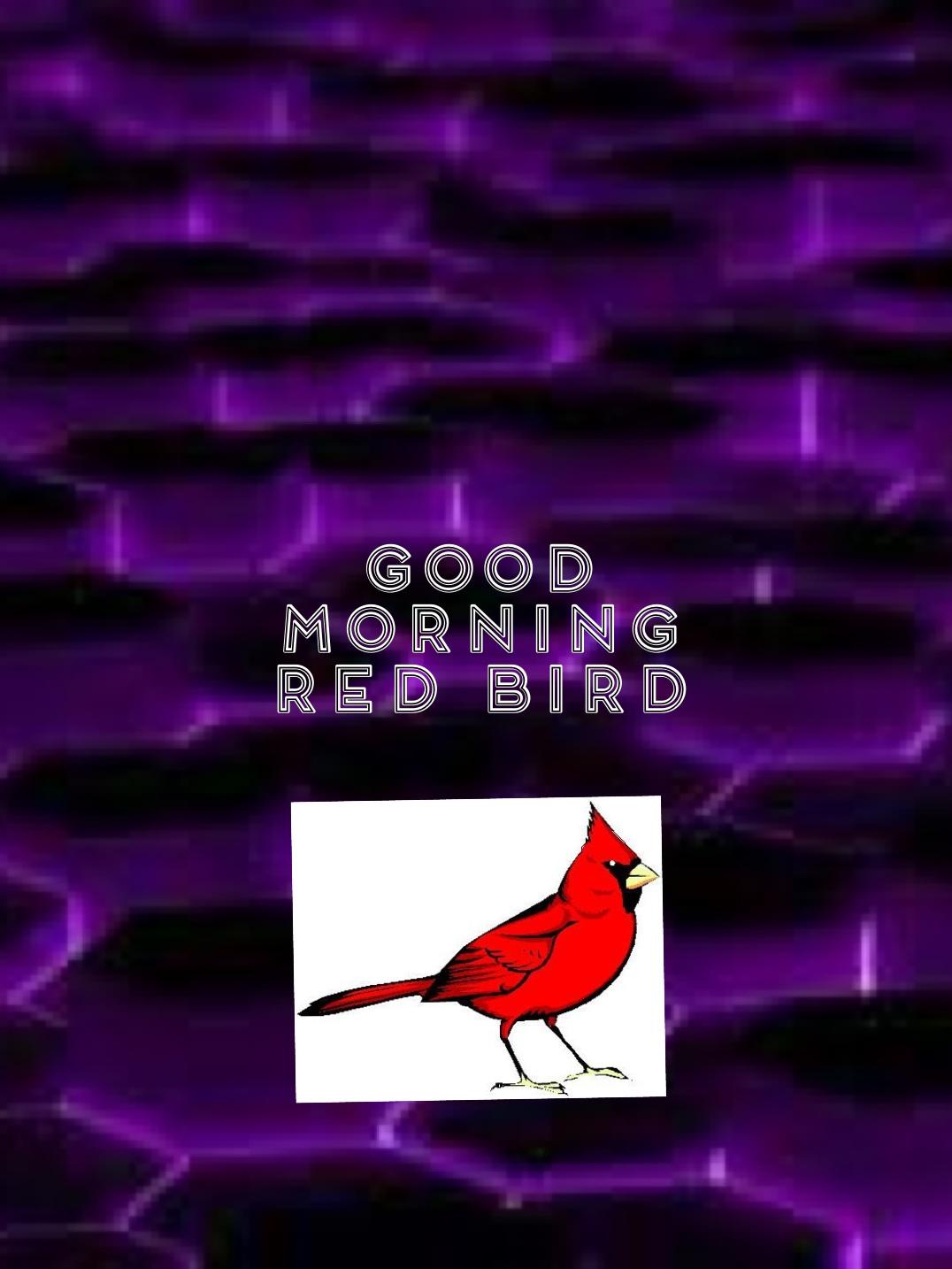 Good morning red bird