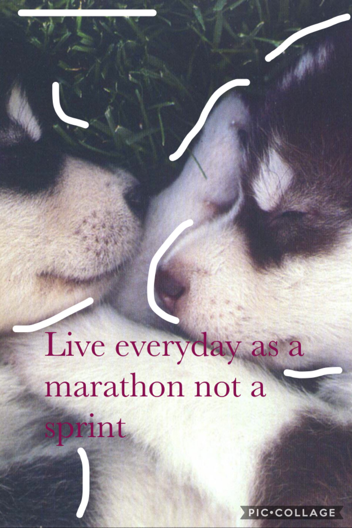 Live everyday as a marathon not a sprint