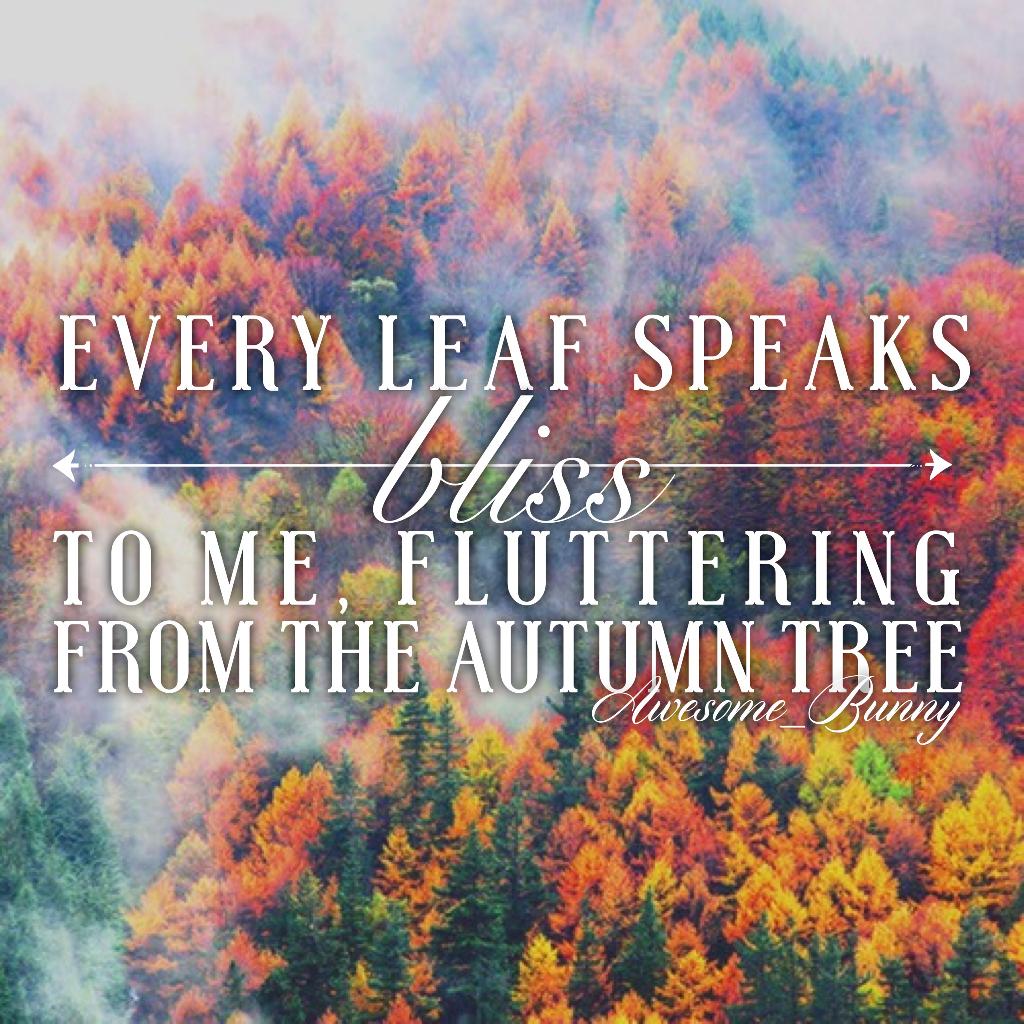 Credits to music_foreva for the BG! 🍂