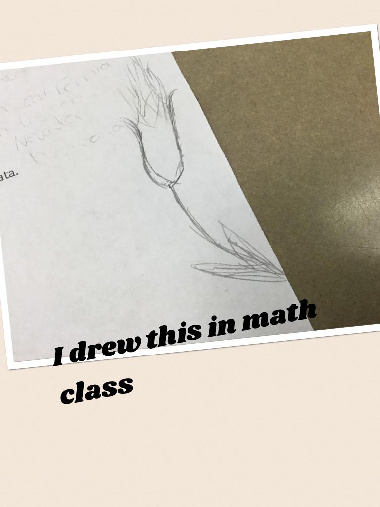 I drew this in math class