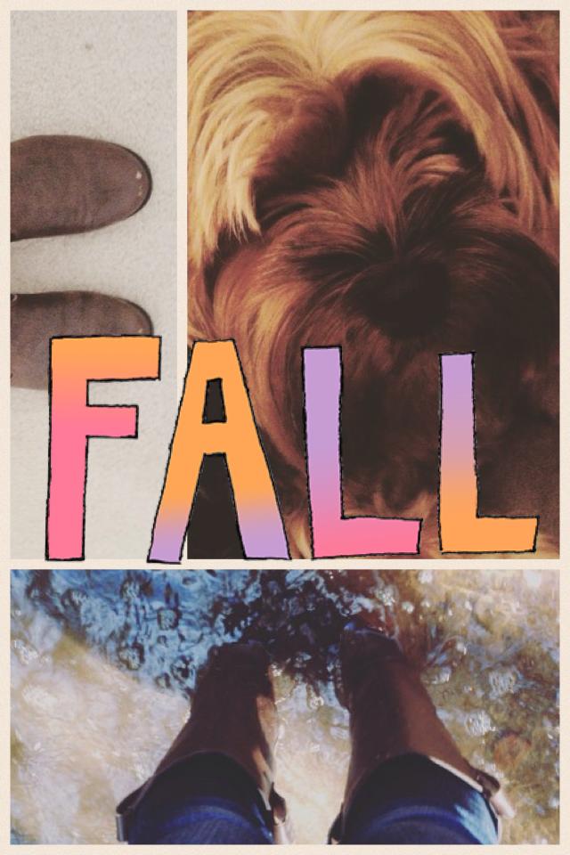 🍂TAP🍂
No one told me themes for today so I went with Fall!  Please ask me questions for next Mon. and tell me themes for next Wed.  And if there is a bible verse you like please tell me!  Sorry this is so bad😔