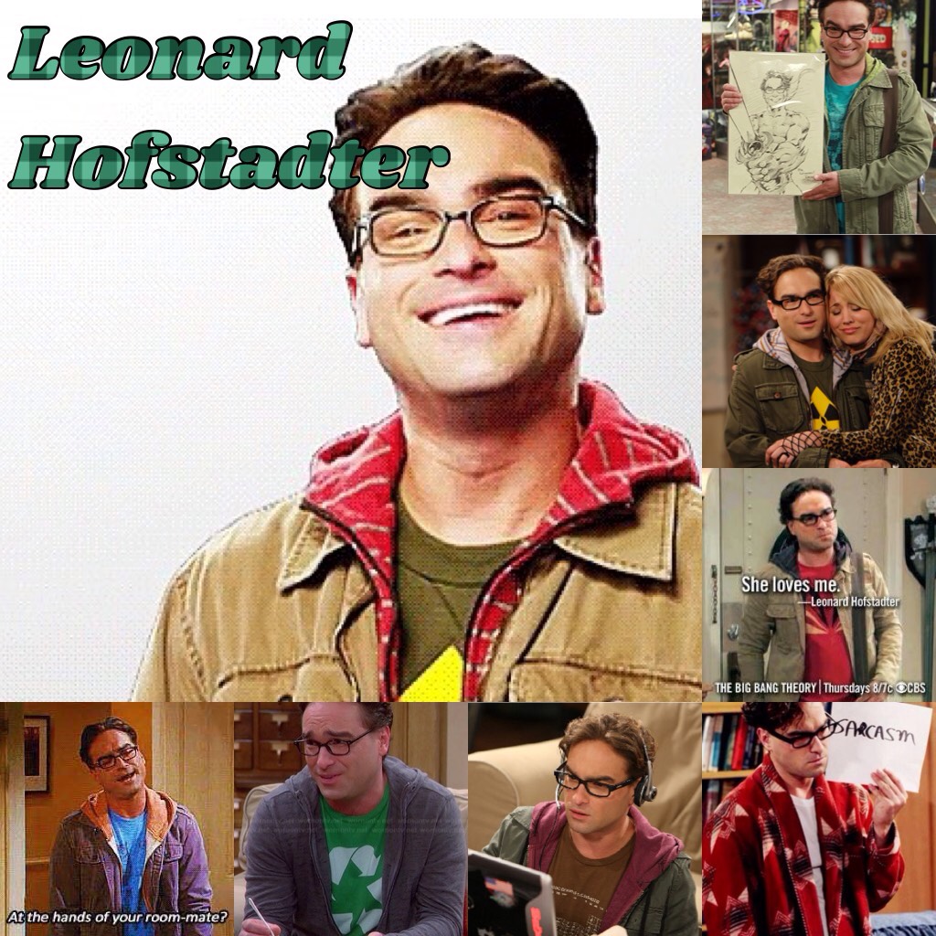 Leonard Hofstadter The Big Bang Theory