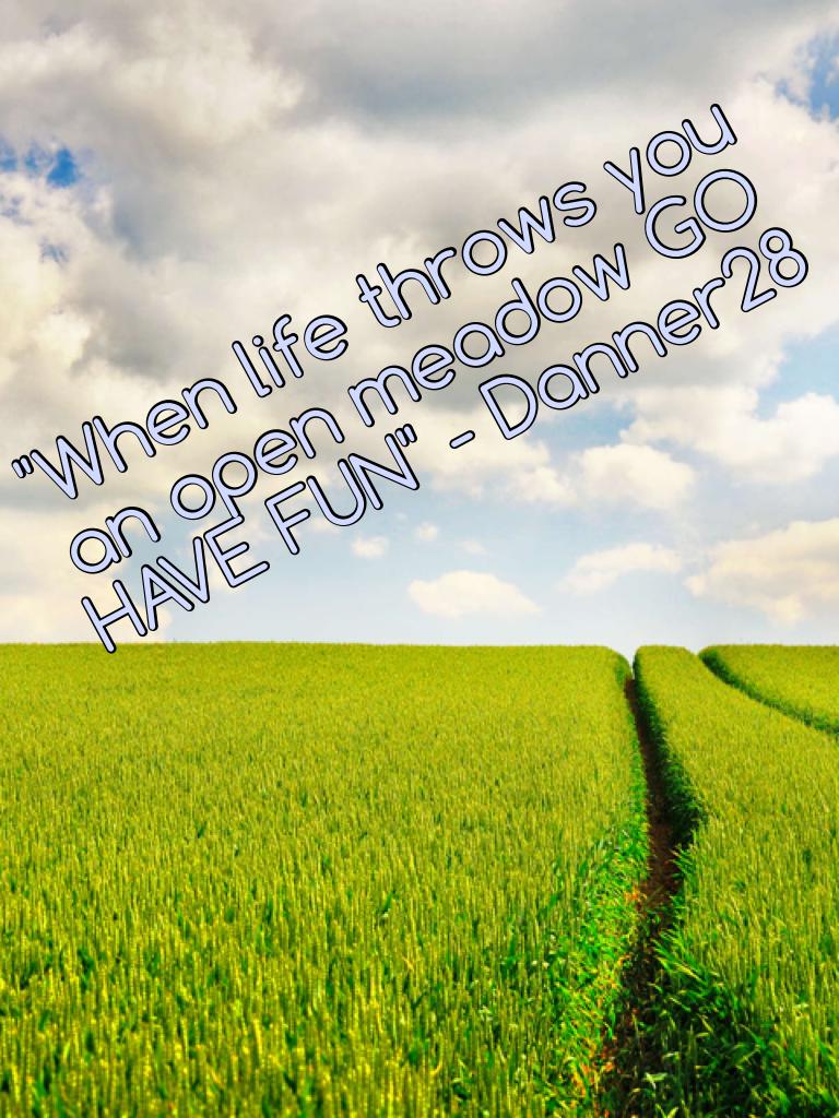 "When life throws you an open meadow GO HAVE FUN" - Danner28
