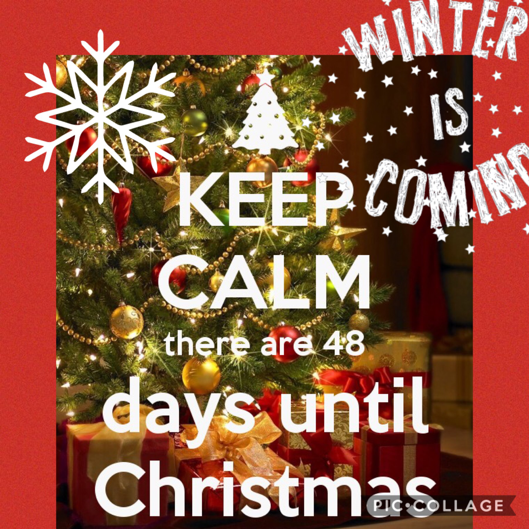 48 days till Christmas!!!! 
Can’t wait 