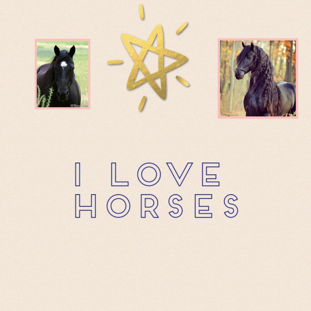 I love horses 