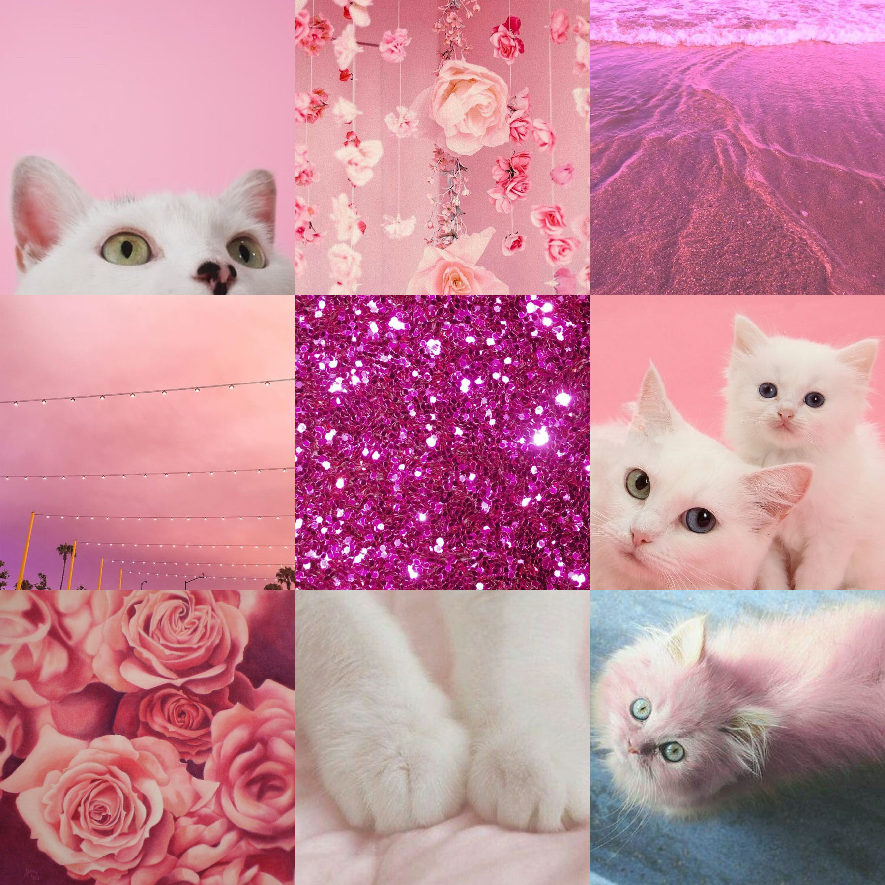 Pink cat moodboard for my sister 