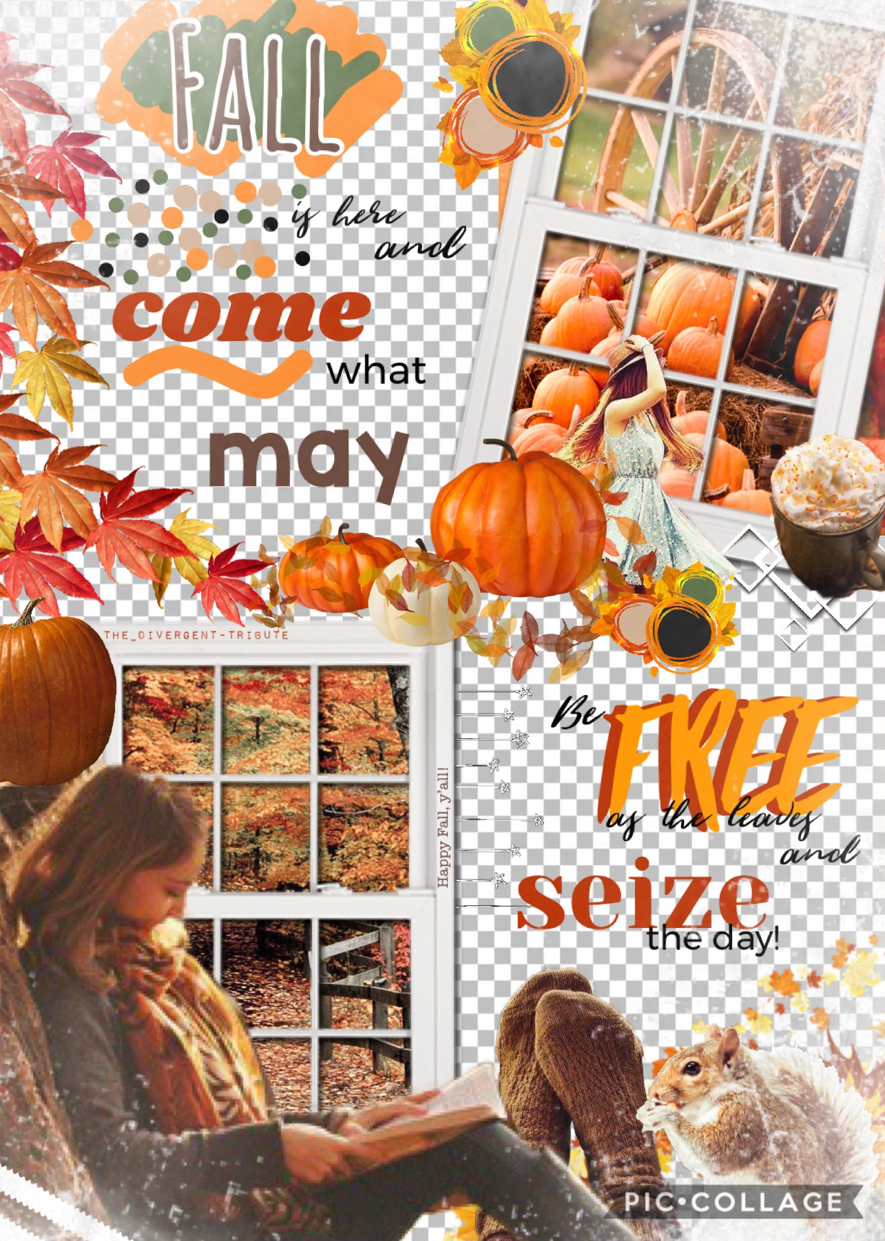 OMG, y’all! It’s FALL! 😂 The quote I used is one I wrote myself! Welcome season of fuzzy socks and long naps! And I LOVE this collage...it may be my best one yet!!
🍁 Happy Fall! 🍁