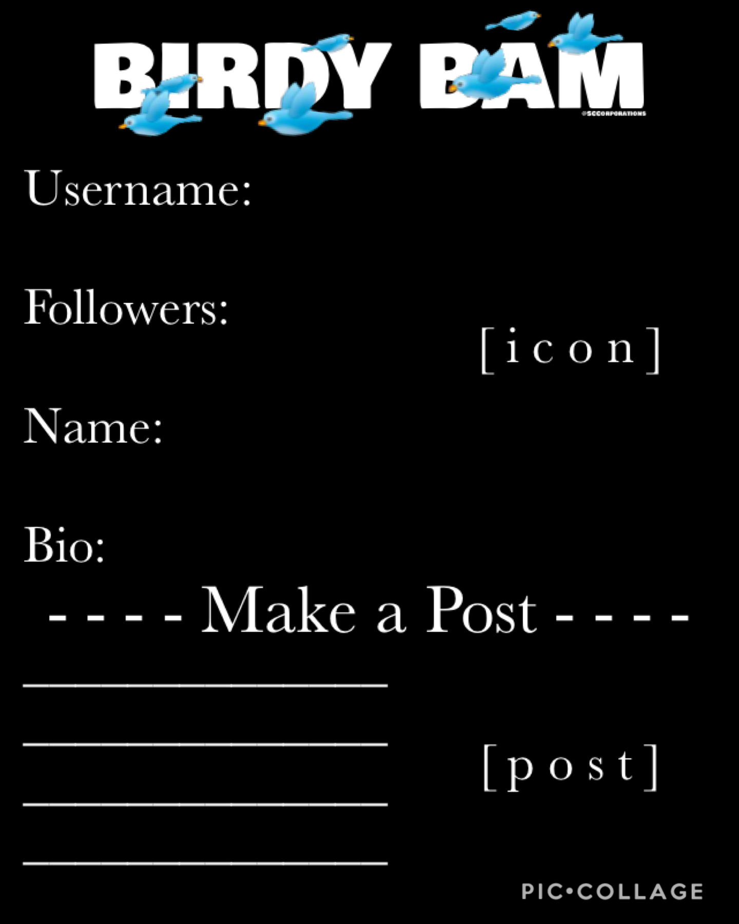 Birdy Bam 2.0

- make posts
- share your life
- gain followers
- have fun!