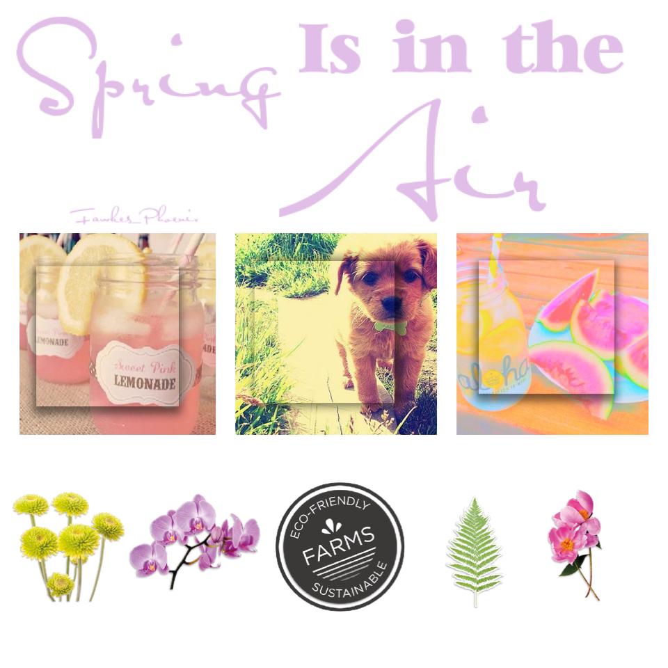 Ahh! Spring is love! ❤️❤️//Peri😘