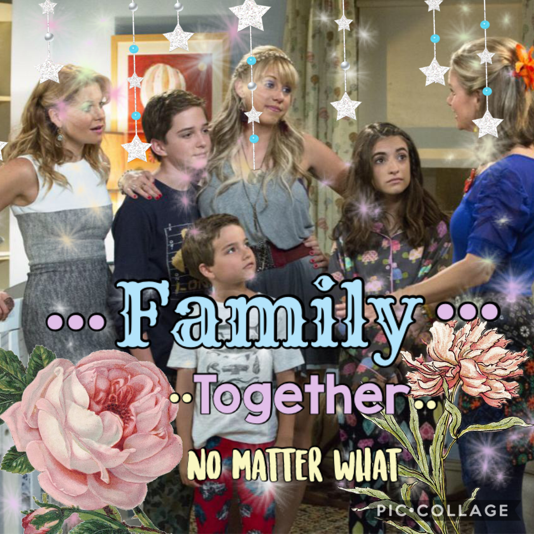 Fuller house collage 