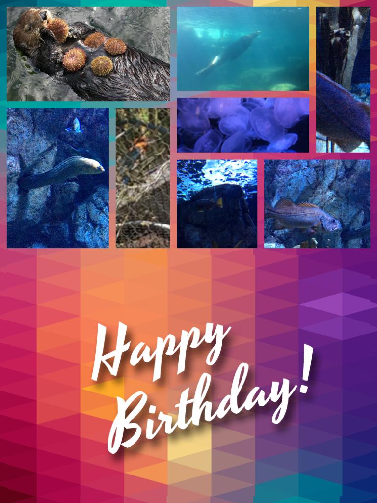 Happy birthday ocean animals