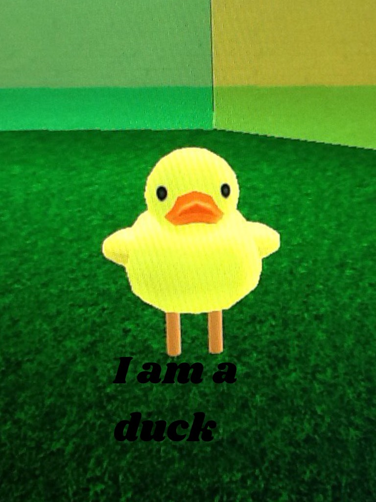 I am a duck