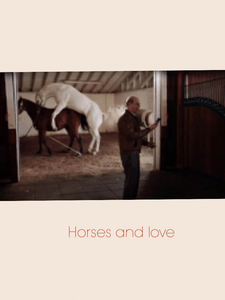 Horses and love