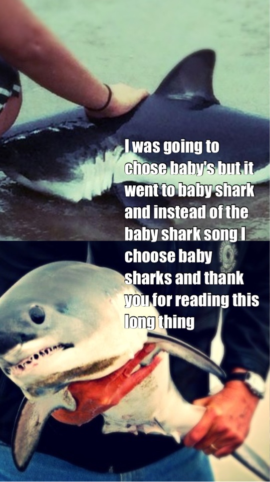 I was going to chose baby's but it went to baby shark and instead of the baby shark song I choose baby sharks and thank you for reading this long thing