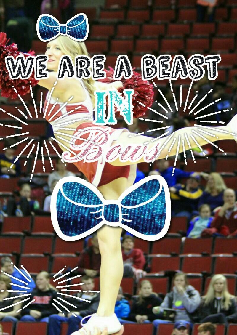 We are a beast in bows!🎀🎀🎀🎀