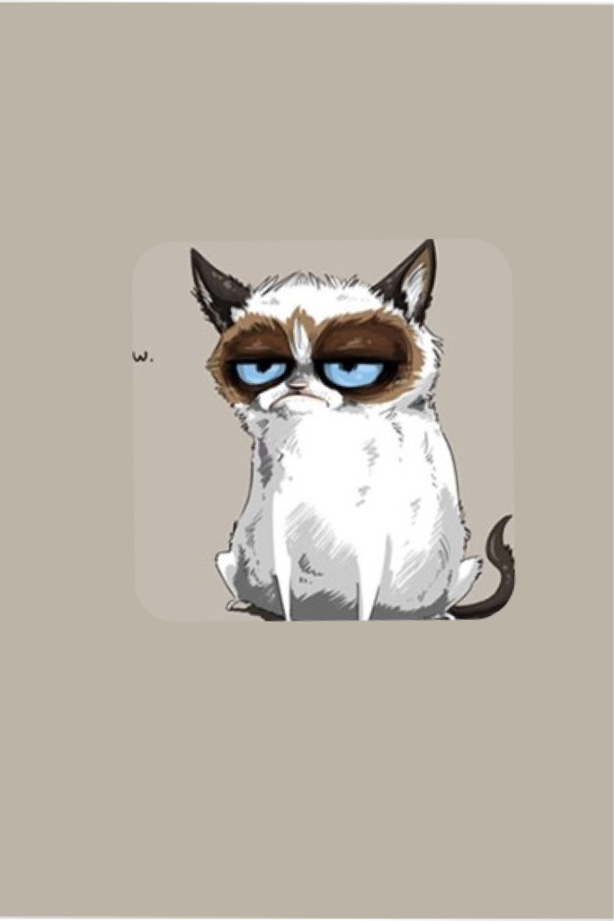 #Grumpy cat
