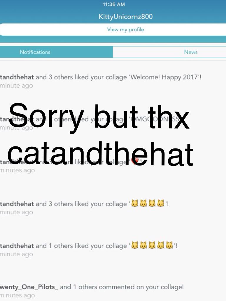 Sorry but thx catandthehat