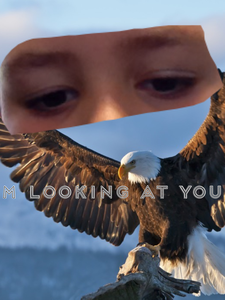 Im looking at you