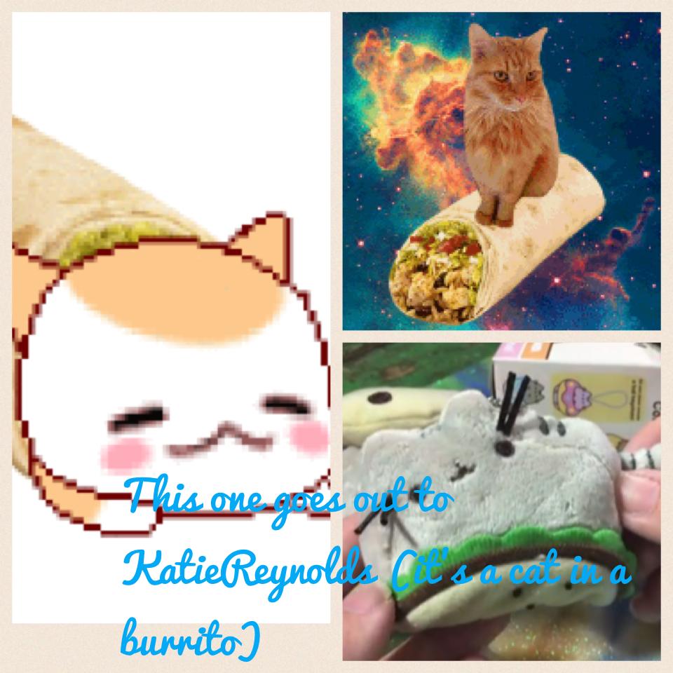 This one goes out to KatieReynolds (it's a cat in a burrito)