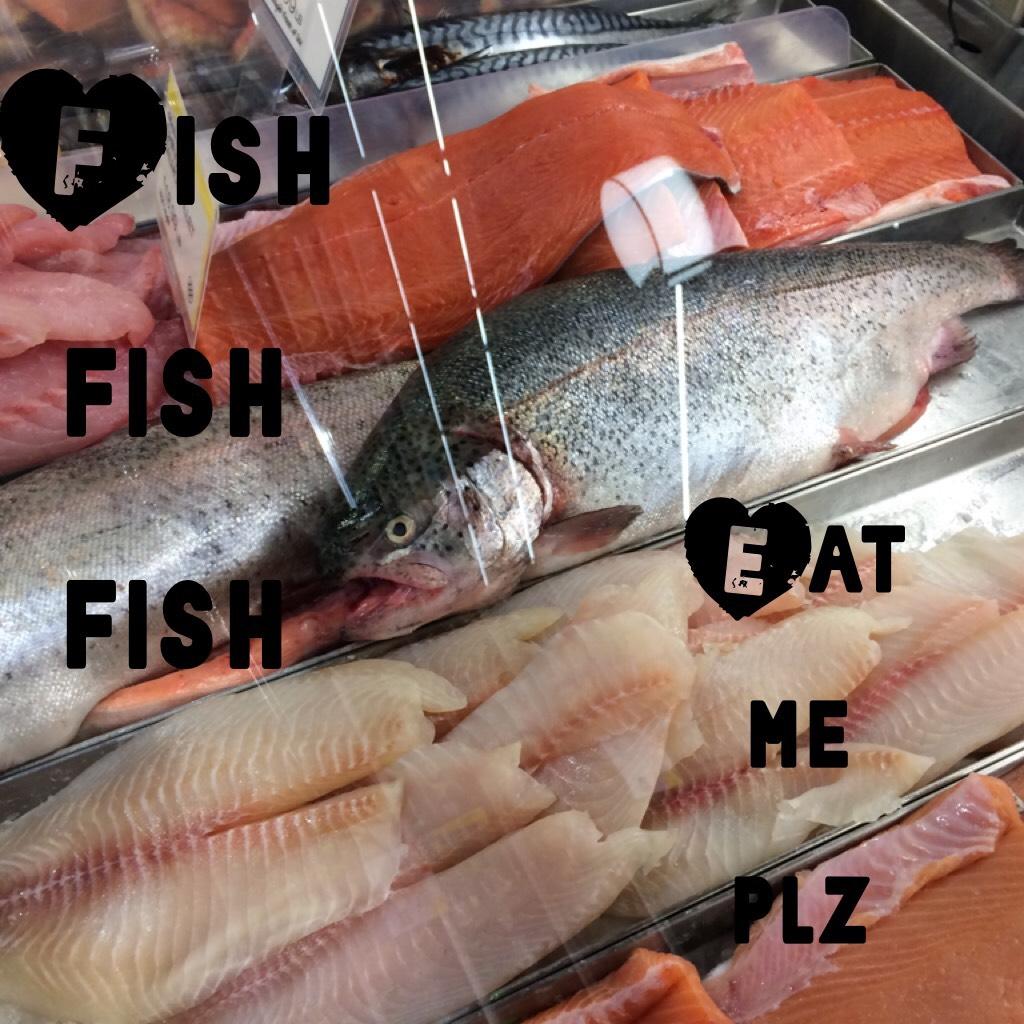 Fish fish fish 