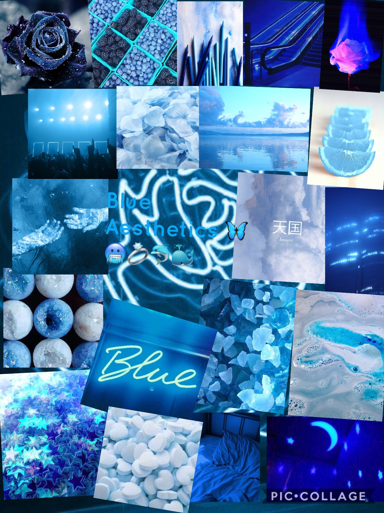 🐬🐳🥶💍🦋TaP🦋💍🥶🐳🐬
Busy. Blue. AESTHETICS🐳🥶🦋💍🐬