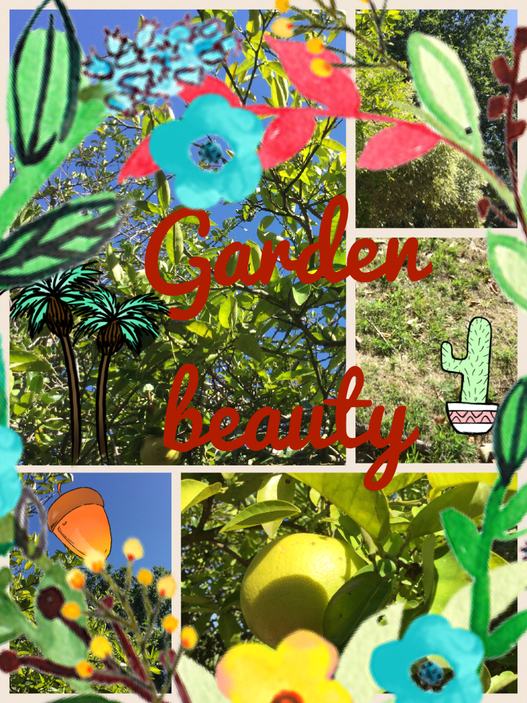 Garden beauty