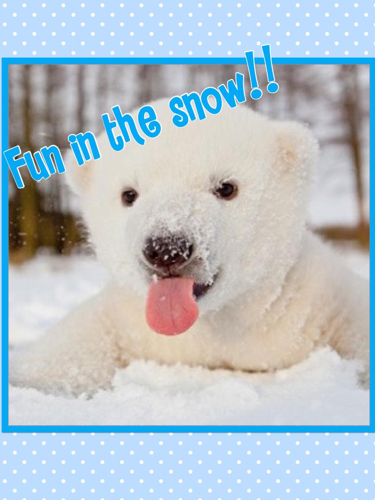 Fun in the snow!! With baby polar bear. "My mommy let me go play in da snow!!"