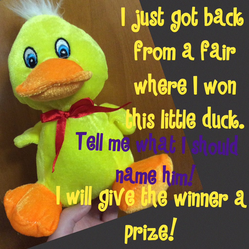 What is this duck's name? I was thinking Mr. Quackers, but tell me what you think!
