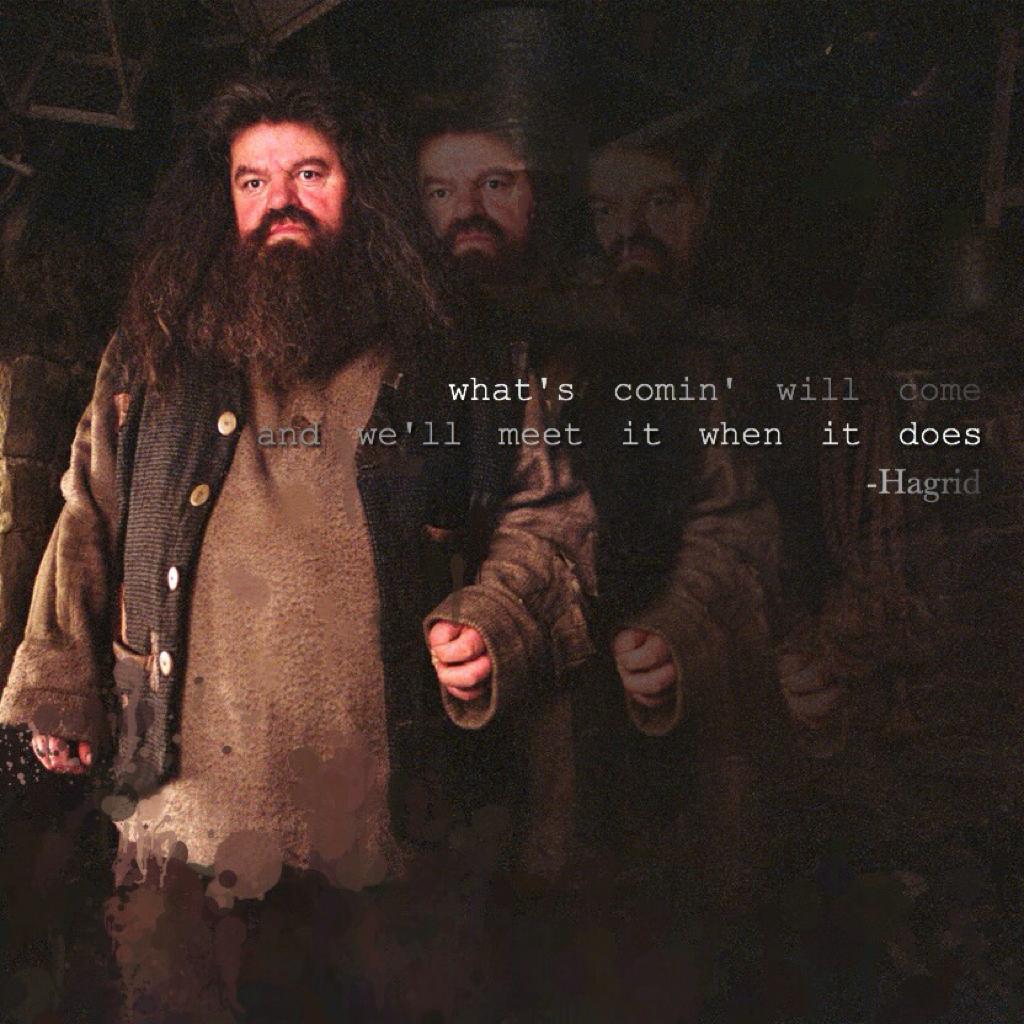 when you look past Hagrid's interesting grammar, he has said some truly intelligent things 